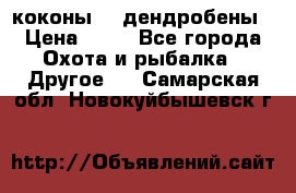 коконы    дендробены › Цена ­ 25 - Все города Охота и рыбалка » Другое   . Самарская обл.,Новокуйбышевск г.